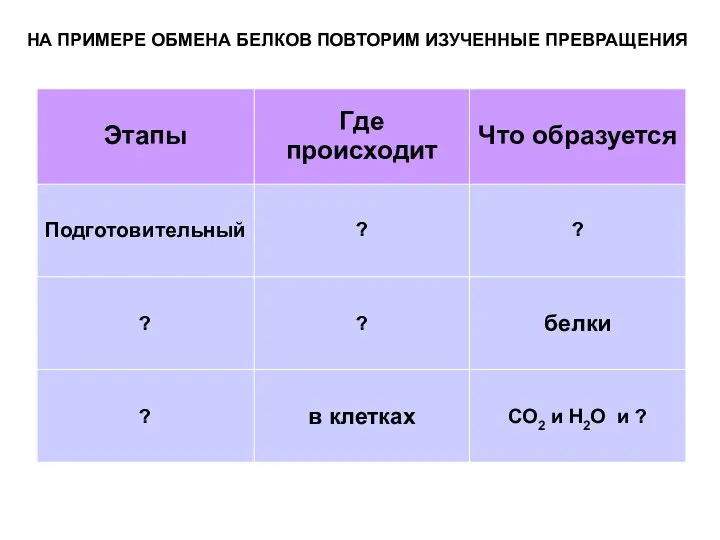 НА ПРИМЕРЕ ОБМЕНА БЕЛКОВ ПОВТОРИМ ИЗУЧЕННЫЕ ПРЕВРАЩЕНИЯ