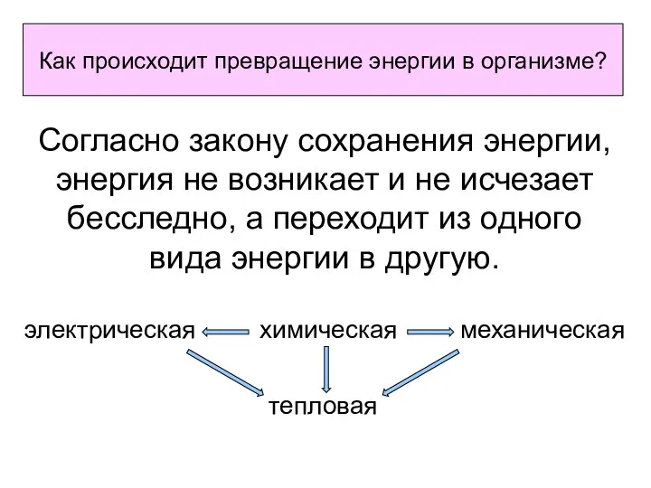 электрическая химическая механическая тепловая Как происходит превращение энергии в организме? Согласно закону