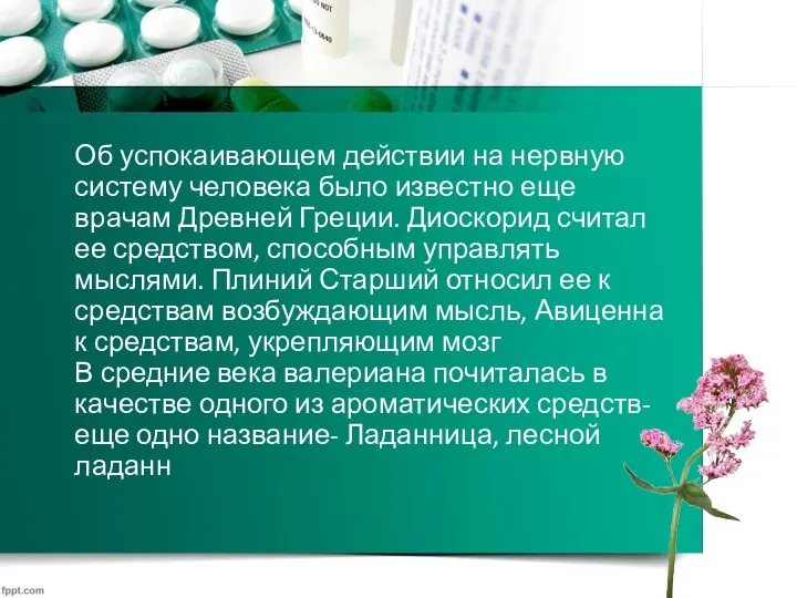 Об успокаивающем действии на нервную систему человека было известно еще врачам Древней