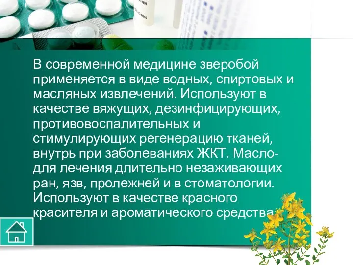 В современной медицине зверобой применяется в виде водных, спиртовых и масляных извлечений.