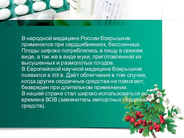 В народной медицине России боярышник применялся при сердцебиениях, бессоннице. Плоды широко потреблялись