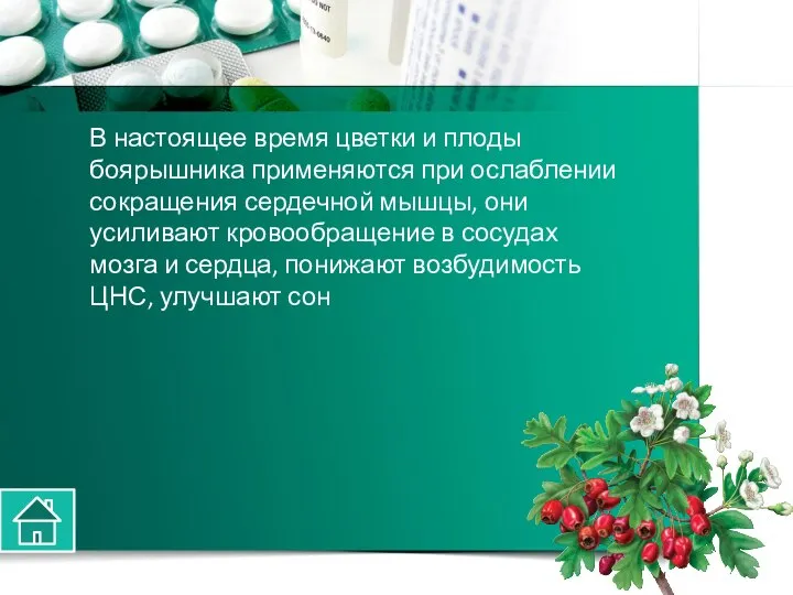 В настоящее время цветки и плоды боярышника применяются при ослаблении сокращения сердечной