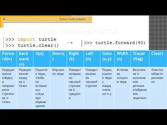 ИСПОЛНИТЕЛЬ ЧЕРЕПАХА TURTLE