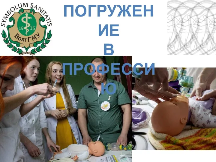 ПОГРУЖЕНИЕ В ПРОФЕССИЮ