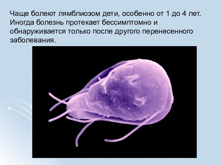 Чаще болеют лямблиозом дети, особенно от 1 до 4 лет. Иногда болезнь