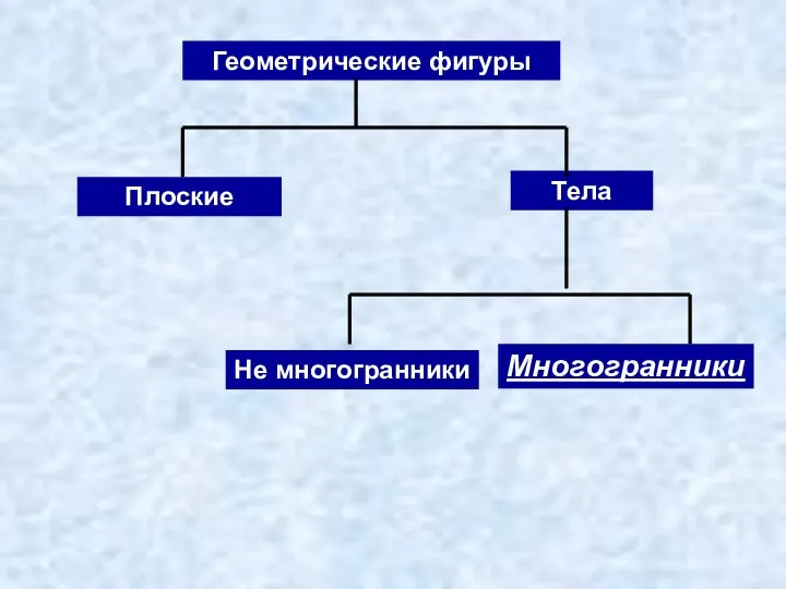 Многогранники Тела Геометрические фигуры Плоские Не многогранники