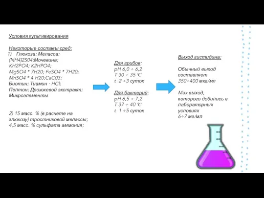 Условия культивирования Некоторые составы сред: Глюкоза; Меласса; (NH4)2S04;Мочевина; KH2PO4; K2HPO4; MgSO4 *