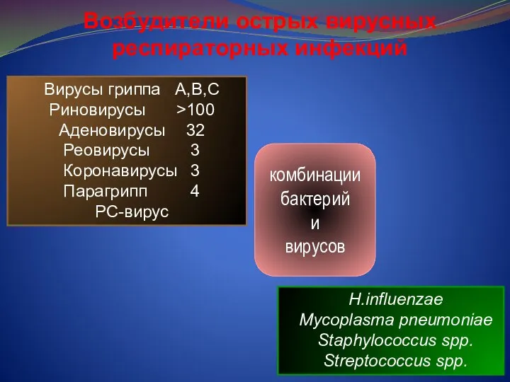 комбинации бактерий и вирусов Возбудители острых вирусных респираторных инфекций Вирусы гриппа A,B,C