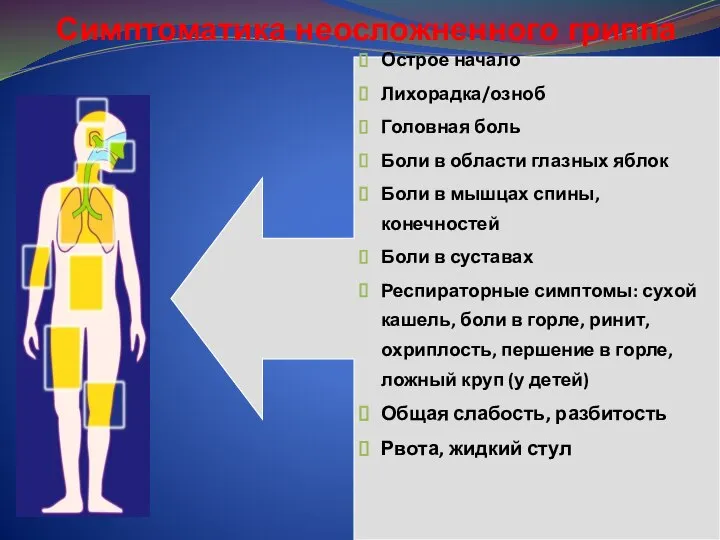 Острое начало Лихорадка/озноб Головная боль Боли в области глазных яблок Боли в