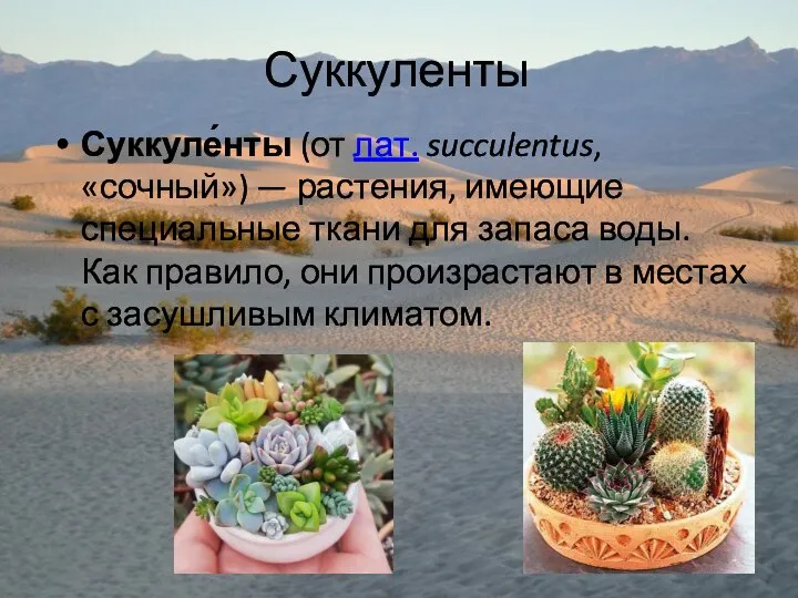 Суккуленты Суккуле́нты (от лат. succulentus, «сочный») — растения, имеющие специальные ткани для