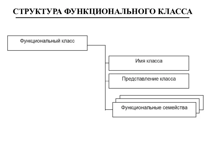 СТРУКТУРА ФУНКЦИОНАЛЬНОГО КЛАССА