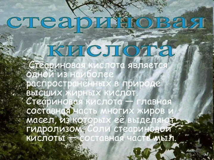 Стеариновая кислота является одной из наиболее распространённых в природе высших жирных кислот.