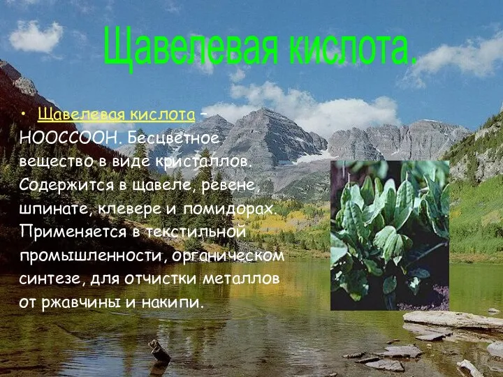 Щавелевая кислота – НООССООН. Бесцветное вещество в виде кристаллов. Содержится в щавеле,