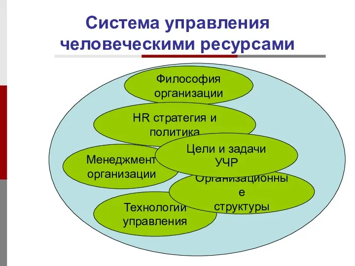 Система управления человеческими ресурсами Философия организации Менеджмент организации Технологии управления HR стратегия