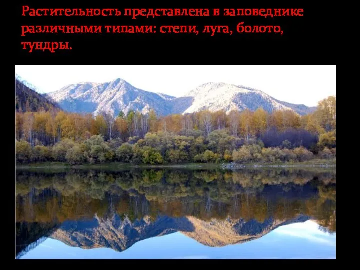 Растительность представлена в заповеднике различными типами: степи, луга, болото, тундры.