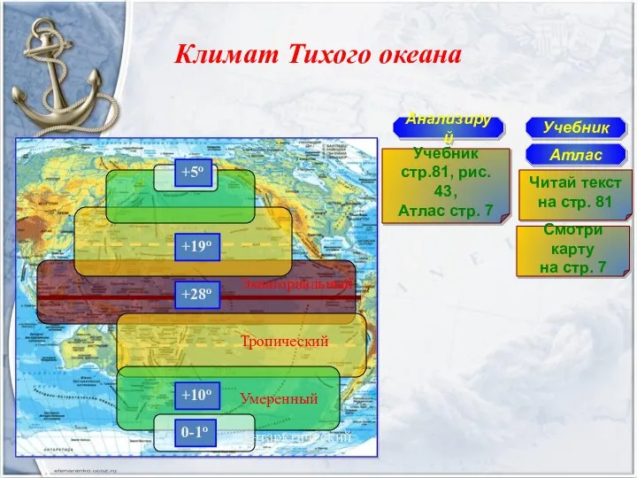 Климат Тихого океана Экваториальный Тропический Умеренный Антарктический Учебник Атлас Читай текст на