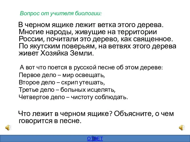 Вопрос от учителя биологии: В черном ящике лежит ветка этого дерева. Многие