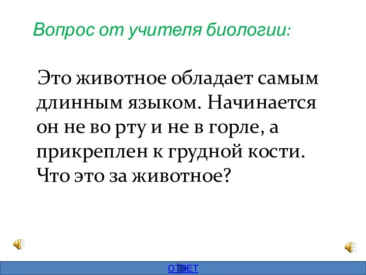 Вопрос от учителя биологии: Это животное обладает самым длинным языком. Начинается он