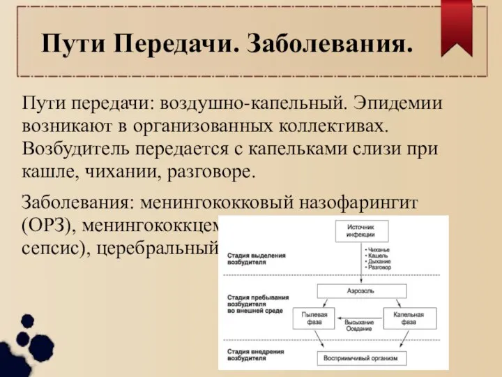 Пути Передачи. Заболевания. Пути передачи: воздушно-капельный. Эпидемии возникают в организованных коллективах. Возбудитель