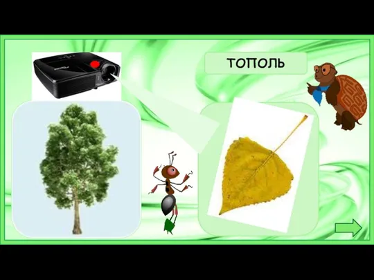 ТОПОЛЬ