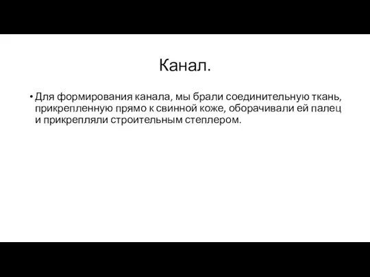 Канал. Для формирования канала, мы брали соединительную ткань, прикрепленную прямо к свинной