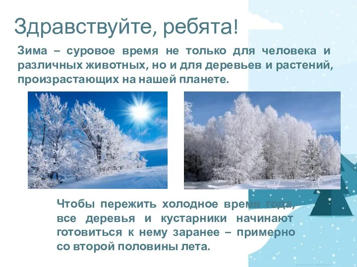 Здравствуйте, ребята! Зима – суровое время не только для человека и различных