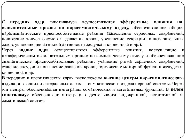 С передних ядер гипоталамуса осуществляются эфферентные влияния на исполнительные органы по парасимпатическому