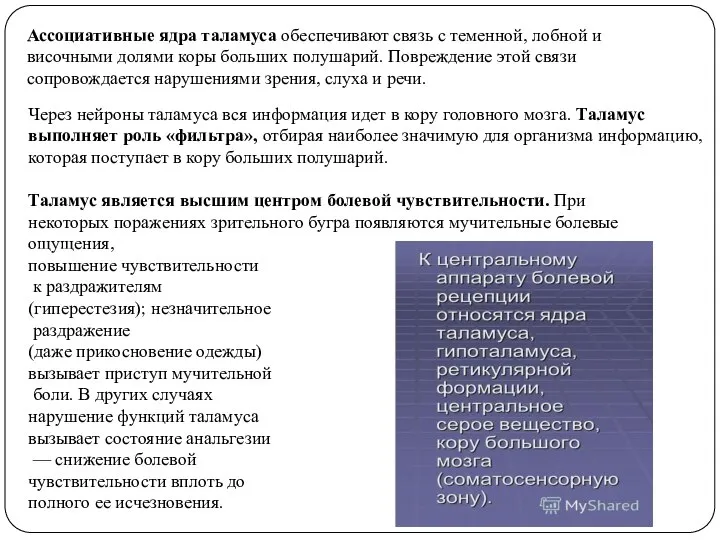 Ассоциативные ядра таламуса обеспечивают связь с теменной, лобной и височными долями коры