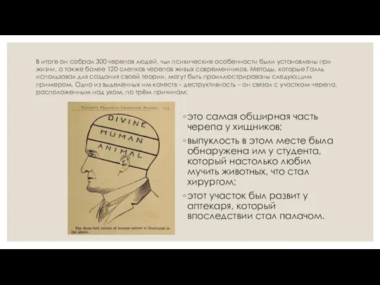 В итоге он собрал 300 черепов людей, чьи психические особенности были установлены