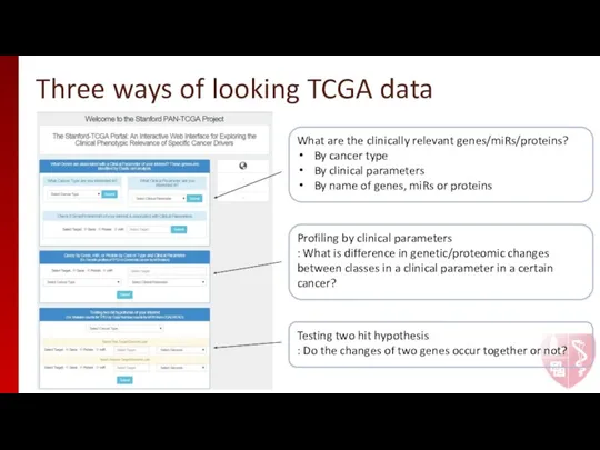 Three ways of looking TCGA data What are the clinically relevant genes/miRs/proteins?