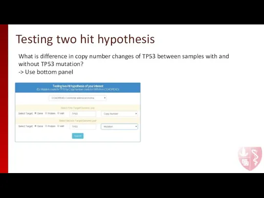 Testing two hit hypothesis What is difference in copy number changes of
