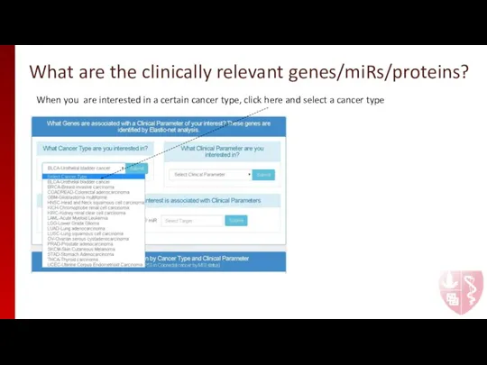 What are the clinically relevant genes/miRs/proteins? When you are interested in a
