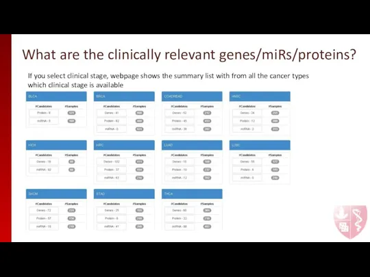 What are the clinically relevant genes/miRs/proteins? If you select clinical stage, webpage
