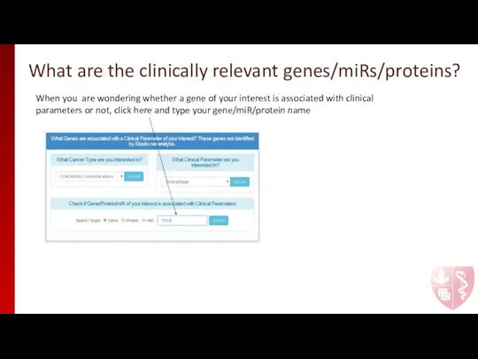 What are the clinically relevant genes/miRs/proteins? When you are wondering whether a