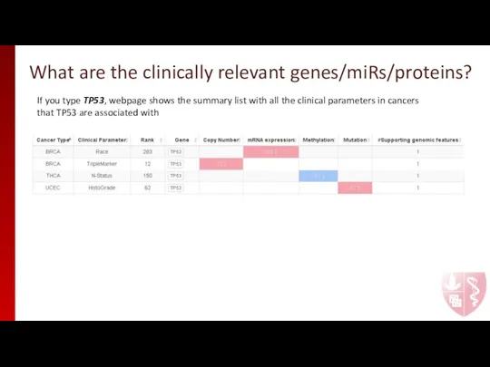 What are the clinically relevant genes/miRs/proteins? If you type TP53, webpage shows