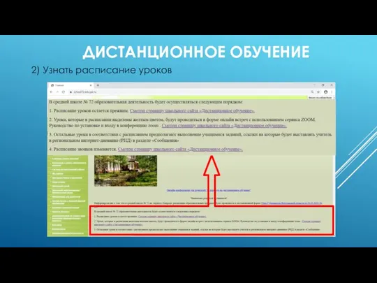 2) Узнать расписание уроков ДИСТАНЦИОННОЕ ОБУЧЕНИЕ