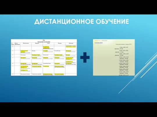 ДИСТАНЦИОННОЕ ОБУЧЕНИЕ