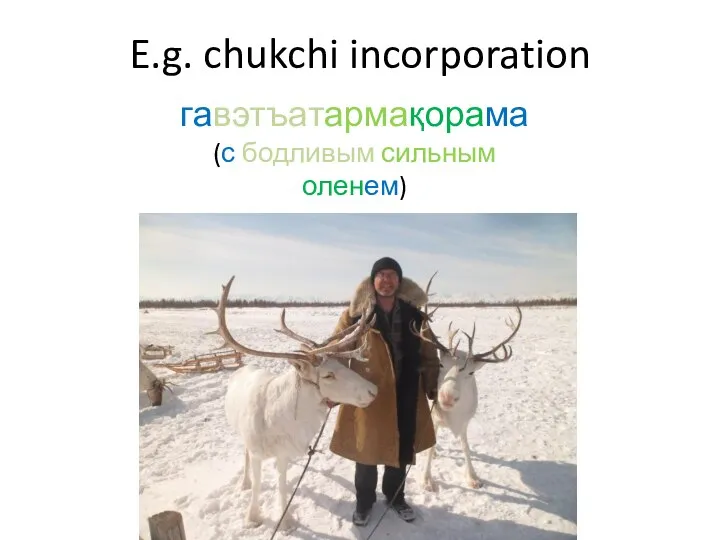 E.g. chukchi incorporation гавэтъатармақорама (с бодливым сильным оленем)