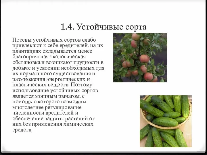 1.4. Устойчивые сорта Посевы устойчивых сортов слабо привлекают к себе вредителей, на