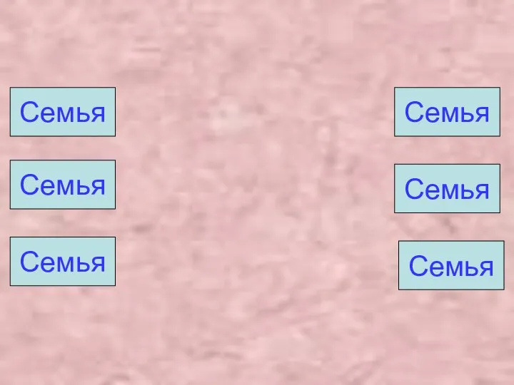 Семья Семья Семья Семья Семья Семья