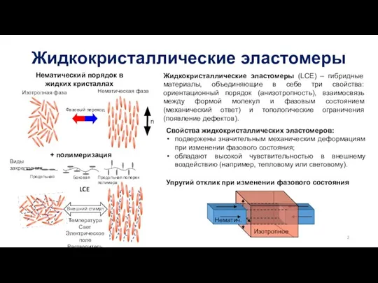 Жидкокристаллические эластомеры Нематический порядок в жидких кристаллах Изотропная фаза Нематическая фаза n