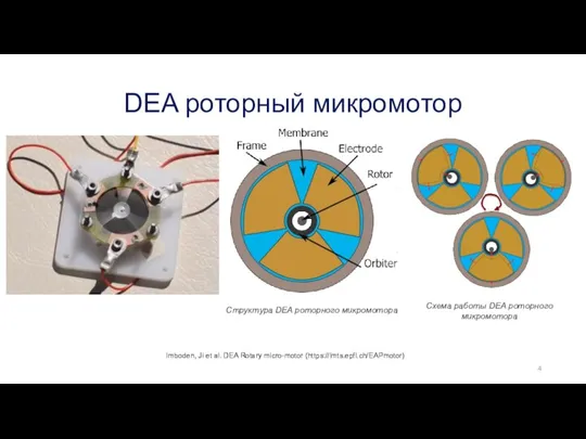 DEA роторный микромотор Структура DEA роторного микромотора Схема работы DEA роторного микромотора