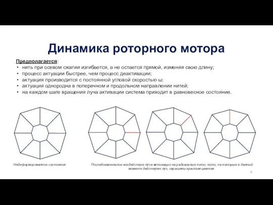 Динамика роторного мотора Предполагается: нить при осевом сжатии изгибается, а не остается