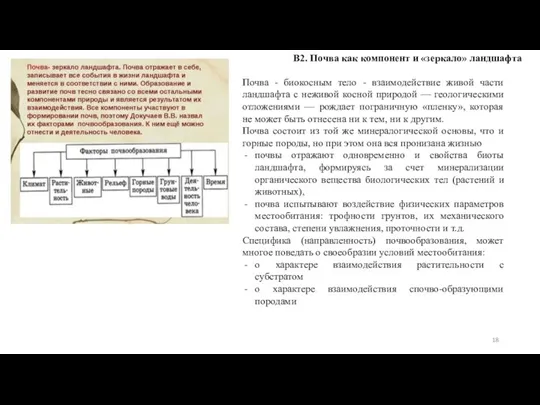 В2. Почва как компонент и «зеркало» ландшафта Почва - биокосным тело -