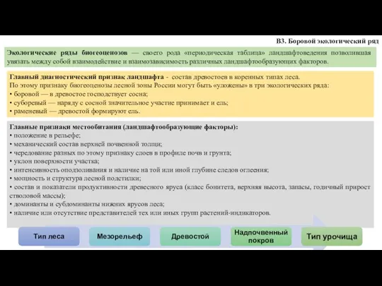 В3. Боровой экологический ряд Экологические ряды биогеоценозов — своего рода «периодическая таблица»