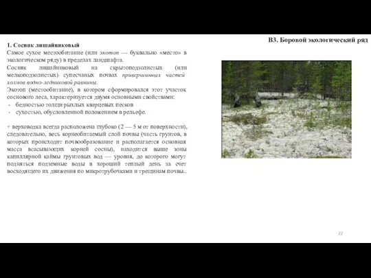 В3. Боровой экологический ряд 1. Сосняк лишайниковый Самое сухое местообитание (или экотоп