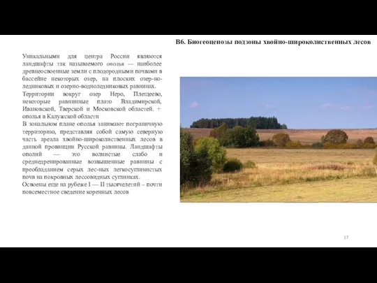 В6. Биогеоценозы подзоны хвойно-широколиственных лесов Уникальными для центра России являются ландшафты так
