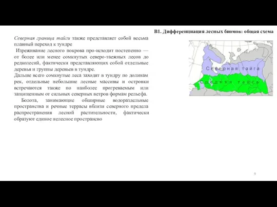 В1. Дифференциация лесных биомов: общая схема Северная граница тайги также представляет собой