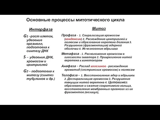 Основные процессы митотического цикла Интерфаза G1 –рост клеток, удвоение органелл, подготовка к