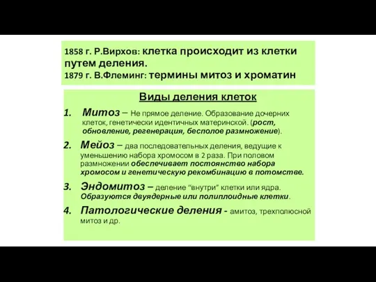 1858 г. Р.Вирхов: клетка происходит из клетки путем деления. 1879 г. В.Флеминг: